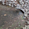 The Value of Vigilance: How Road Crews Prevent Culvert Failures Before They Happen
