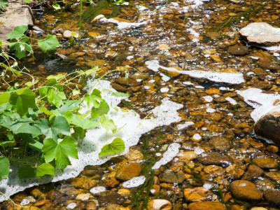 What Is That Foam on the Water?