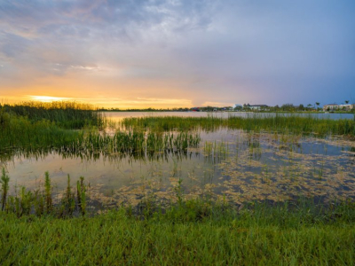Understanding the Water Cycle’s Role in Watershed Health