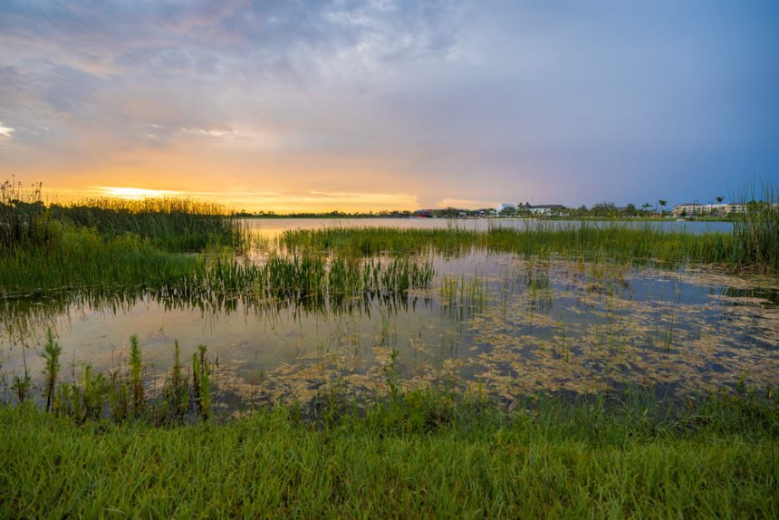 Understanding the Water Cycle’s Role in Watershed Health