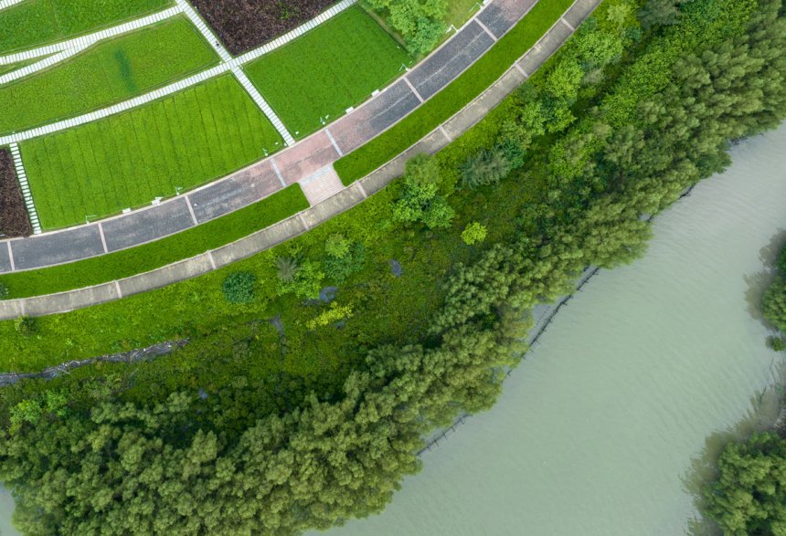 An aerial view of a riparian buffer along a river.