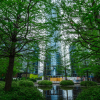 How Green Infrastructure Supports Biodiversity in Urban Stormwater Systems