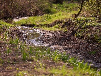Small Streams, Big Consequences: Why Culvert Replacement Requires More Than a Pipe Swap