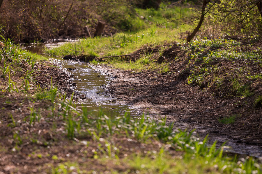 Small Streams, Big Consequences: Why Culvert Replacement Requires More Than a Pipe Swap